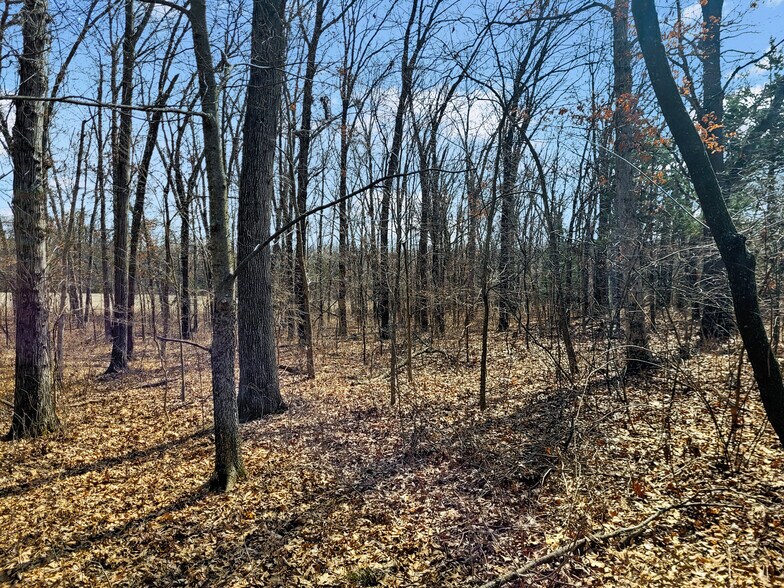 More Photos Of 762 Cave Farm Rd, Troy Land For Sale