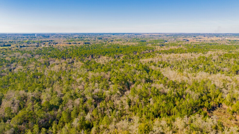 More Photos Of 12960 County Road 48, Silverhill Land For Sale