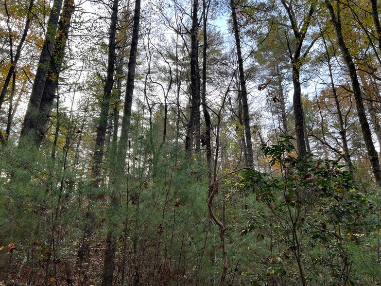 More Photos Of Whitecliff Drive, Ellijay Land For Sale