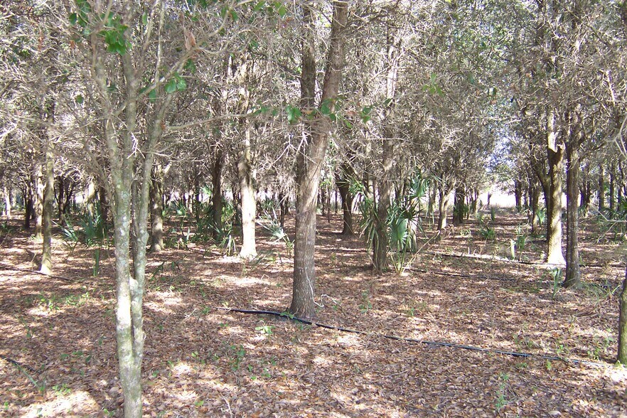 More Photos Of 1620 Tobias St, Naples Land For Lease