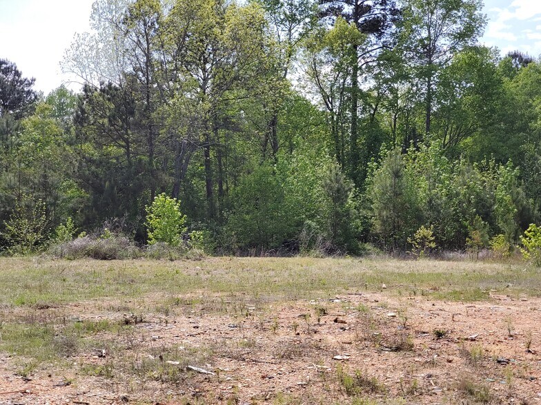 More Photos Of 5405 US Highway 78, Bremen Auto Salvage Facility For Sale