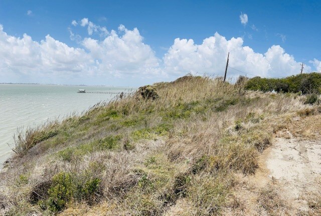 More Photos Of TBD County Road 2250, Taft Land For Sale