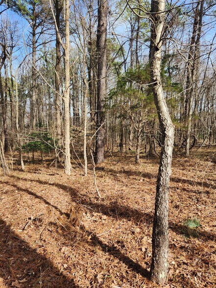 More Photos Of Lot 69 Plantation, Montross Land For Sale
