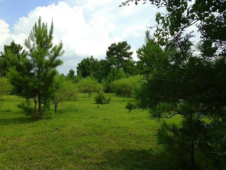More Photos Of 0 Hwy 90 Off, Crosby Land For Sale