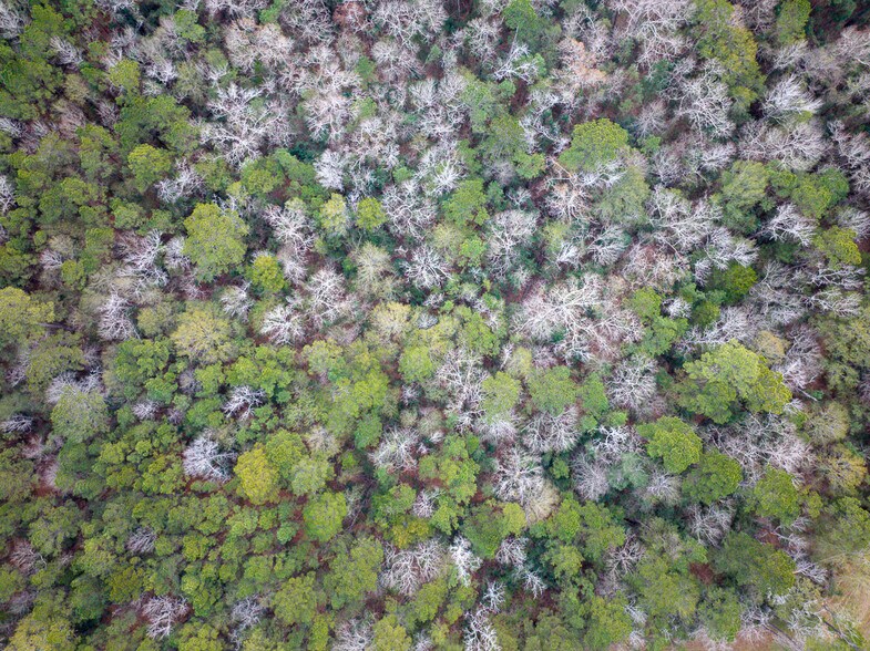 More Photos Of Highway 190, Huntsville Land For Sale