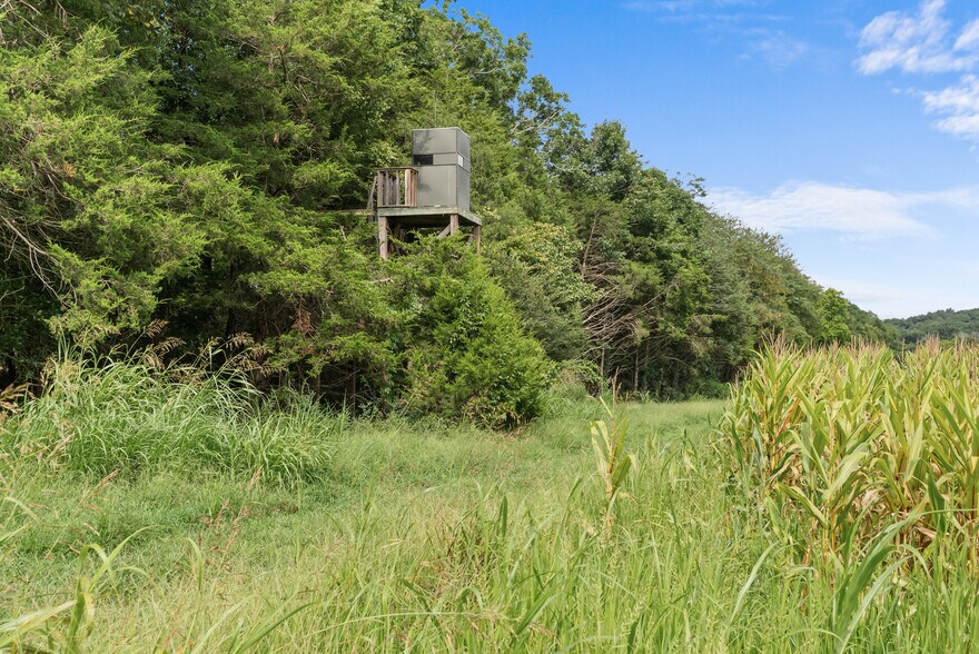 More Photos Of 2942 Newman Rd, Ardmore Land For Sale
