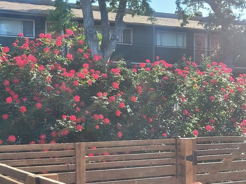 More Photos Of 7314-100 Oak Manor Dr, San Antonio Apartments For Sale