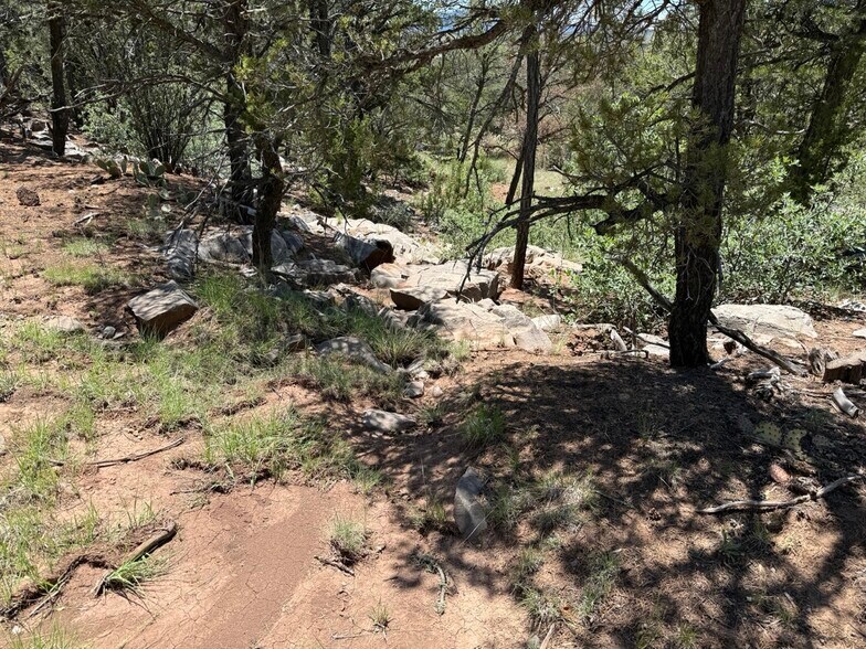 More Photos Of 44 Forest 321 Rd, Estancia Land For Sale