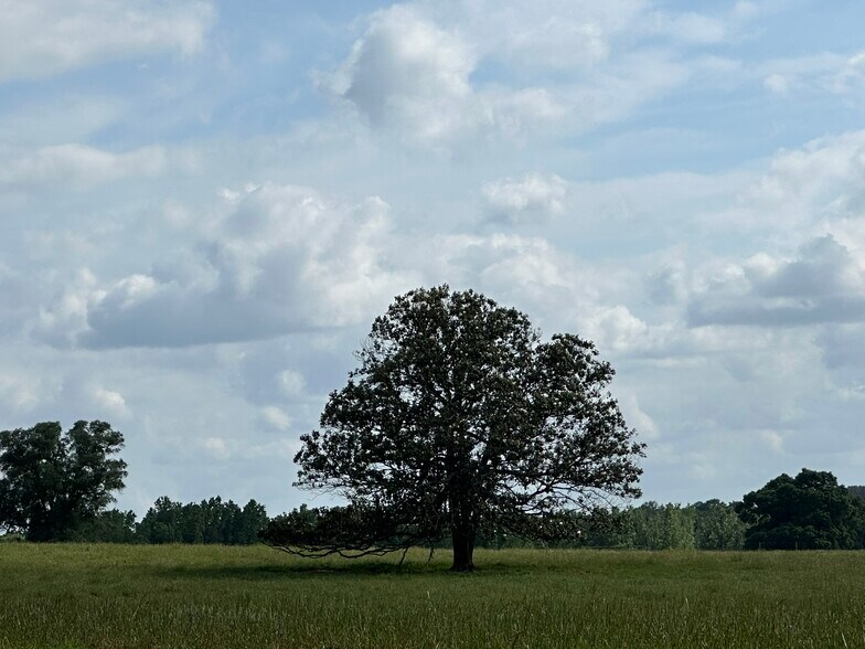 More Photos Of Millside Road, Laurel Hill Land For Sale