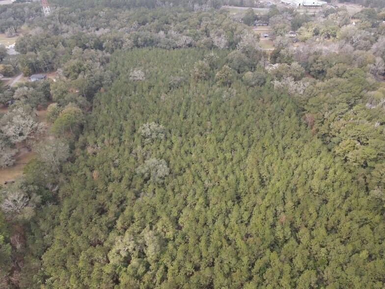 More Photos Of 0 Baldwin St, Satsuma Land For Sale