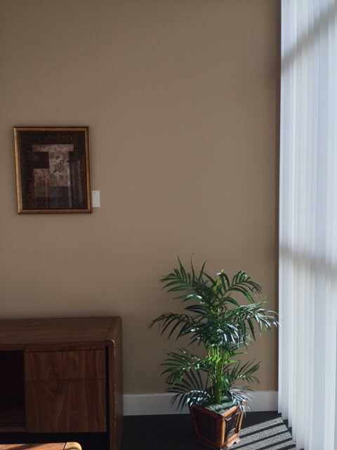 More Photos Of 420 Beatrice Ct, Brentwood Light Distribution For Lease