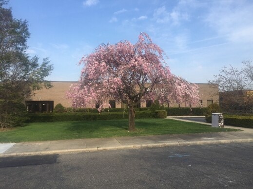 More Photos Of 12 Burt Dr, Deer Park Warehouse For Lease