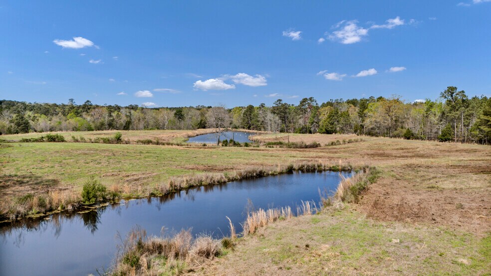 More Photos Of 421 Shore Rd, Gilbert Land For Sale