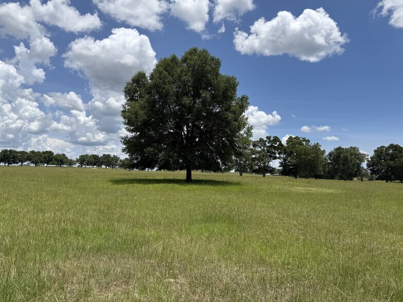 More Photos Of Highway 328 West, Dunnellon Land For Sale