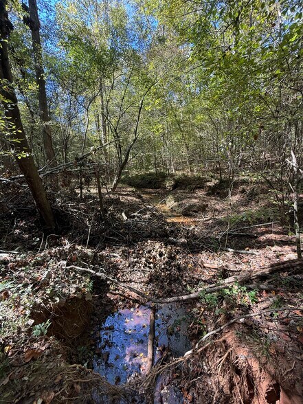 More Photos Of Erastus Church rd, Commerce Land For Sale