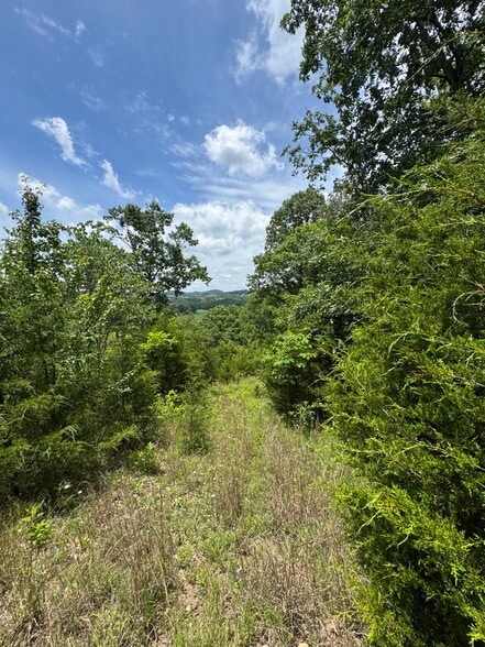 More Photos Of 210 Ridge Haven Dr, Surgoinsville Land For Sale