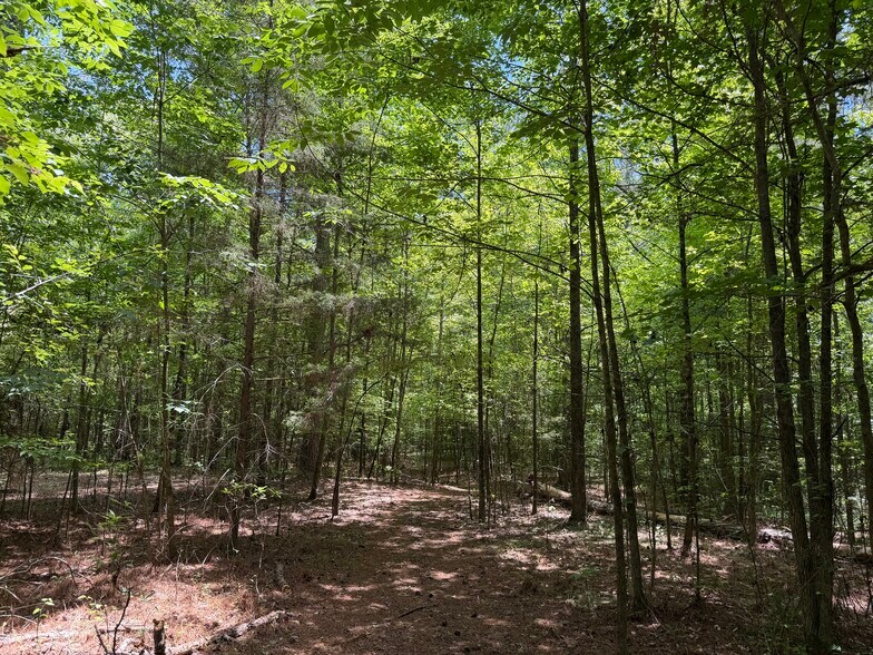 More Photos Of 1593 Old Alabama rd, Taylorsville Land For Sale