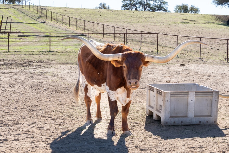 More Photos Of 7790 Airport Rd, Paso Robles Land For Sale
