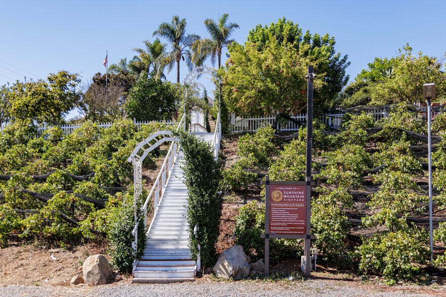 More Photos Of 2286 Sunshine Mountain Rd, San Marcos Winery Vineyard For Sale