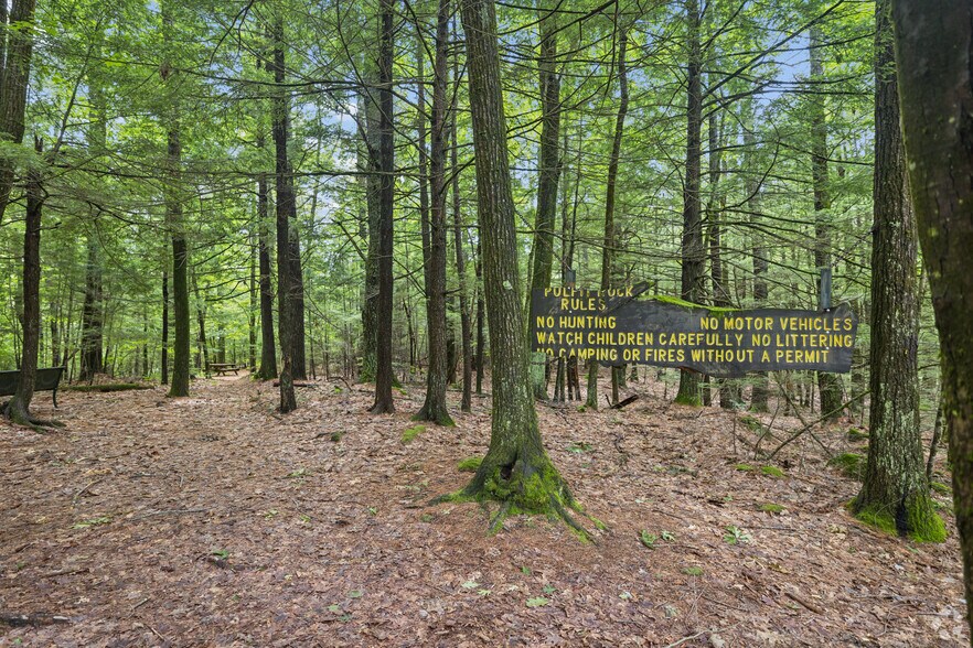 More Photos Of 111 Chestnut Hill Rd, New Boston Land For Sale