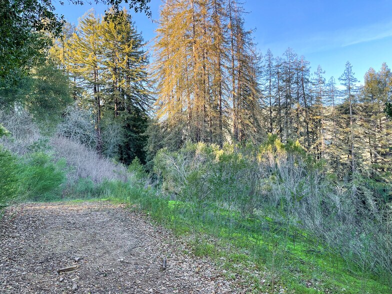 More Photos Of 18655 Black, Los Gatos Land For Sale