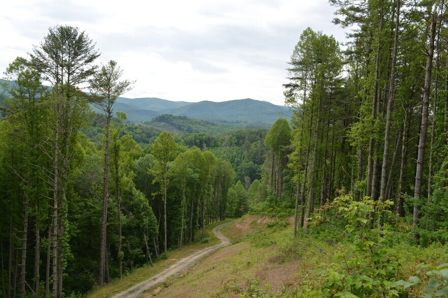 More Photos Of 6421 Highway 91 N, Laurel Bloomery Warehouse For Lease