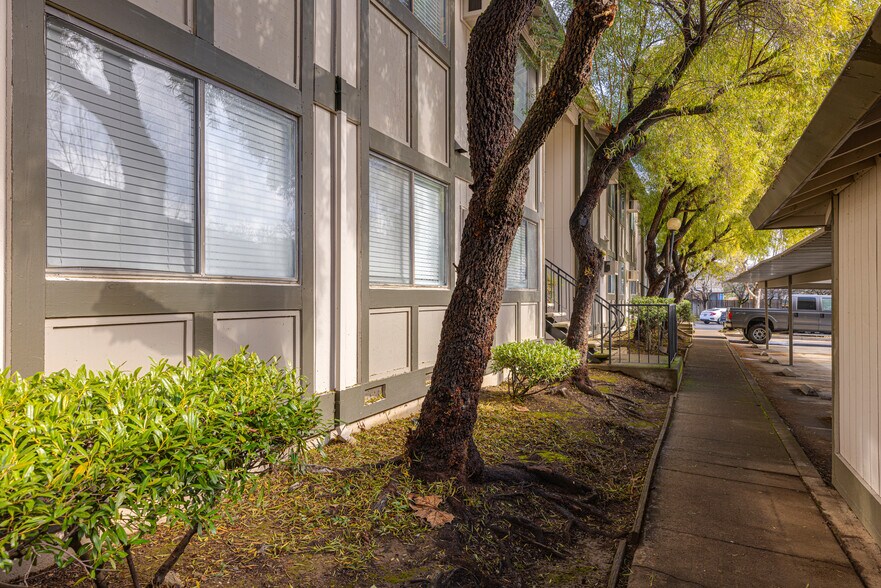 More Photos Of 505-531 Capps Ln, Ukiah Apartments For Sale