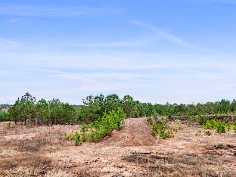 More Photos Of 16.31+/- AC Franklin Parkway Franklin GA 30217, Franklin Land For Sale