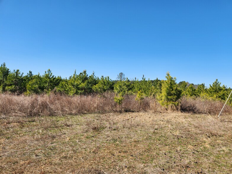 More Photos Of 3004 U.S. 401 Hwy, Louisburg Land For Sale