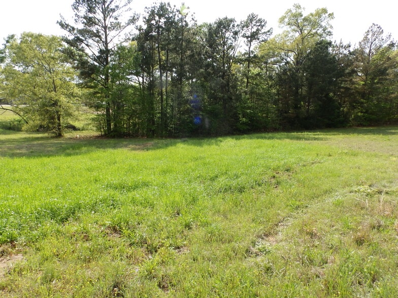 More Photos Of 19522 HWY 155, Flint Land For Sale