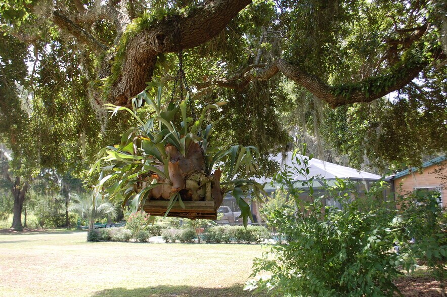 More Photos Of 18811 SE 243rd St, Hawthorne Specialty For Sale