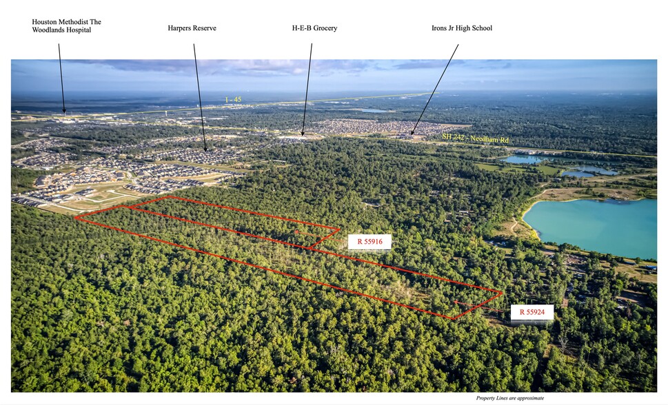 Primary Photo Of 53.8 Acres off Hwy 242, Conroe Land For Sale