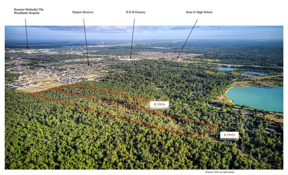 More Photos Of 53.8 Acres off Hwy 242, Conroe Land For Sale