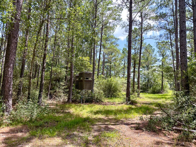 More Photos Of 1682 FM 980 Rd, Huntsville Land For Sale