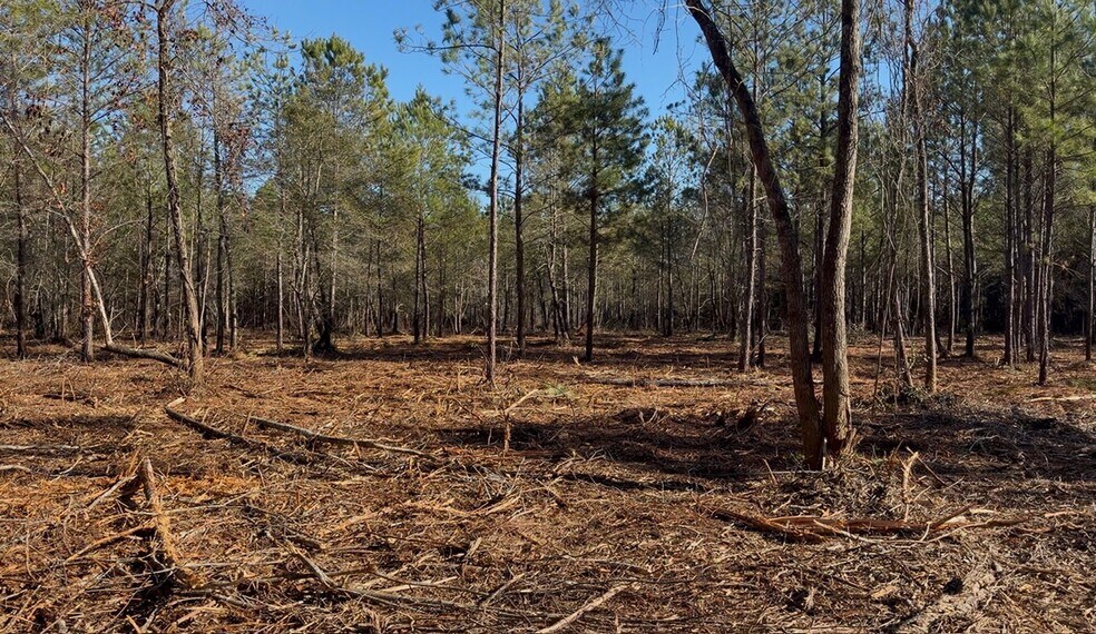 More Photos Of 319 - 547 Sisters Ferry Road, Ridgeland Land For Sale
