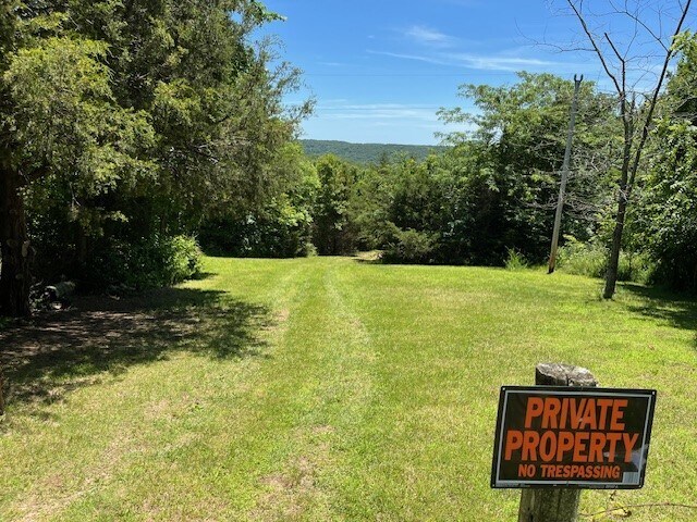 More Photos Of Carnation Ln @ Hwy 76, Cape Fair Land For Sale