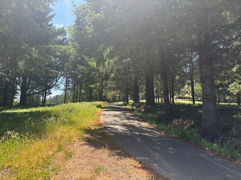 More Photos Of 21380 Siri rd, Guerneville Land For Sale