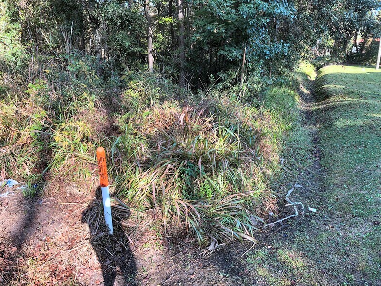 More Photos Of 0 Hwy 162, Hollywood Land For Sale