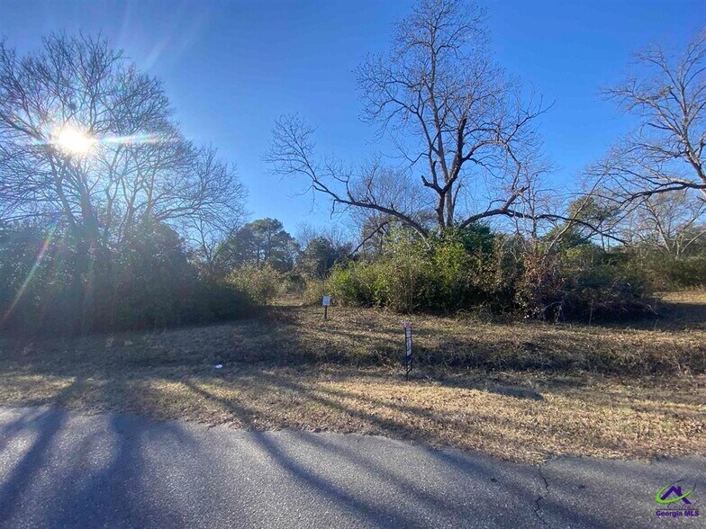 Horse Whisperer Limestone road, Cochran, GA 31014 Land For Sale