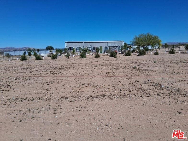 More Photos Of 9025 Camp Rock Rd, Lucerne Valley Veterinarian Kennel For Sale