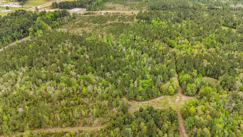 More Photos Of 0 US Highway 43 N., Mount Vernon Land For Sale