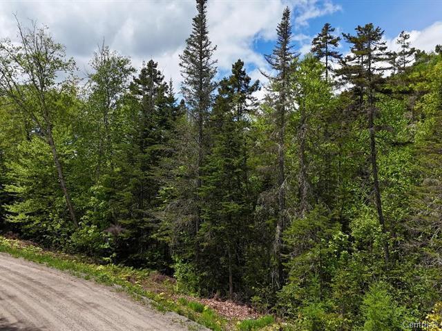 More Photos Of Av 18E, Saint-adolphe-d'howard Land For Sale
