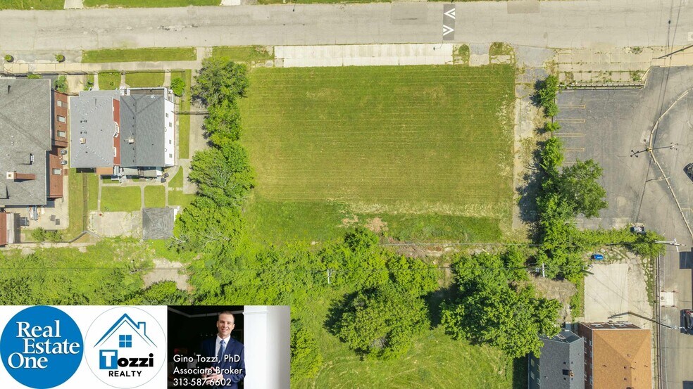 More Photos Of 1075 Coplin St, Detroit Land For Sale