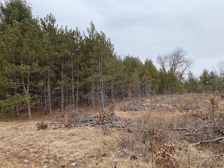 More Photos Of 207 State Highway 13, Nekoosa Land For Sale
