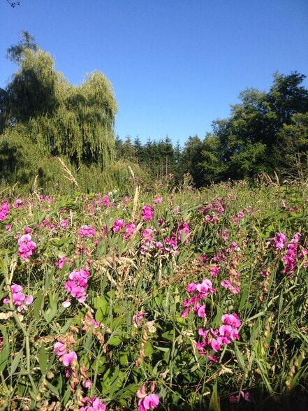 More Photos Of 18913 Vashon Hwy SW, Vashon Land For Sale