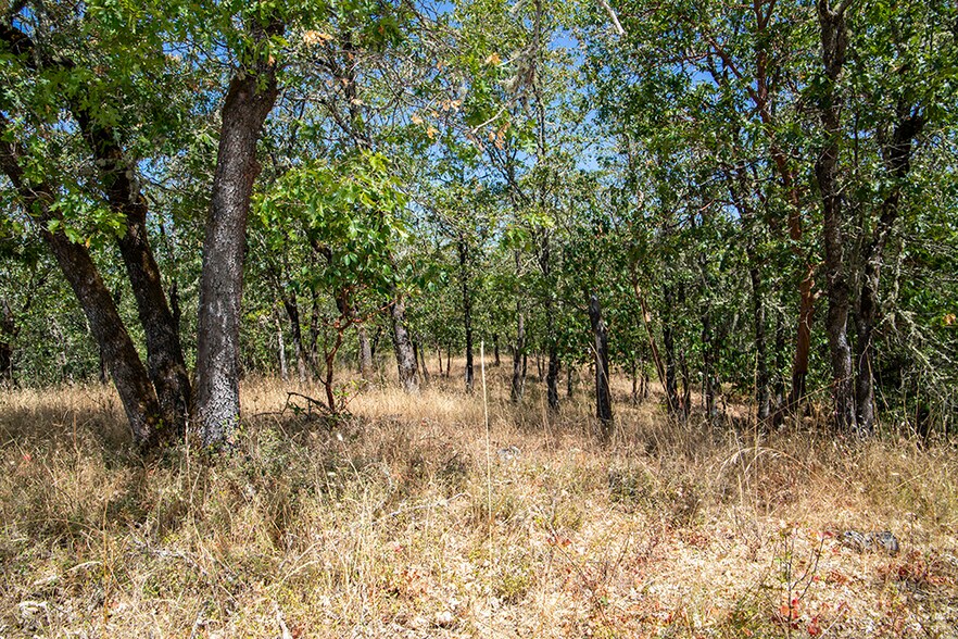 More Photos Of 0 Rosemary Lane Ln, Grants Pass Land For Sale
