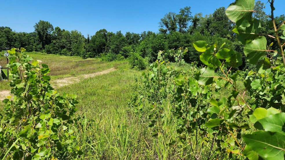 More Photos Of 000 Hwy 61 North, Vicksburg Land For Sale