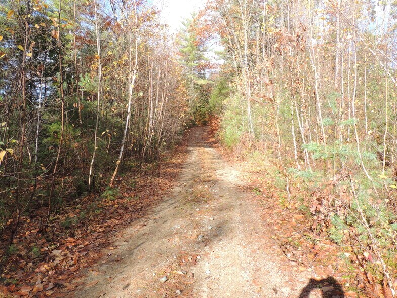 More Photos Of 140 Chickville Rd, Ossipee Land For Sale