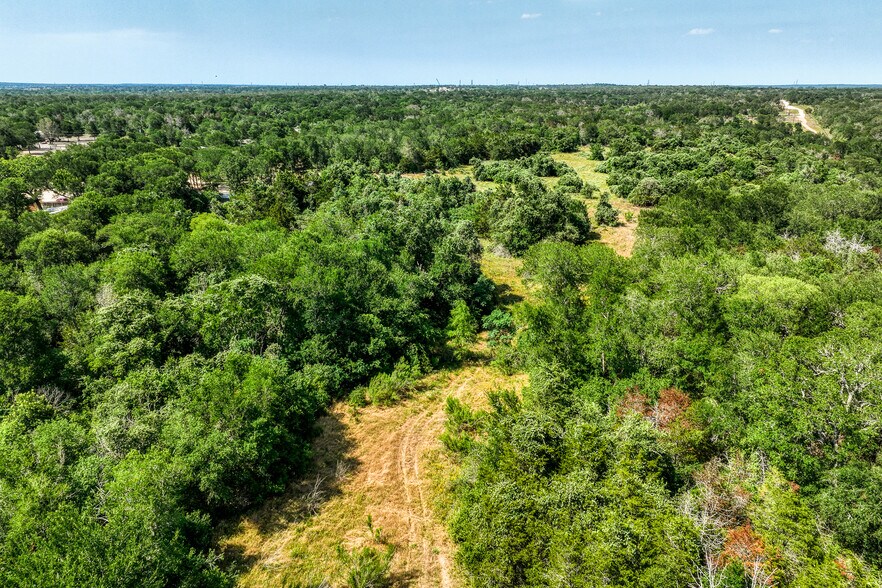 More Photos Of TBD (+/-88 Acres) Smith Rd, Bastrop Land For Sale