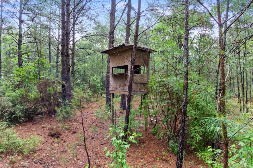 More Photos Of 1031 Brown Rd, Graceville Land For Sale